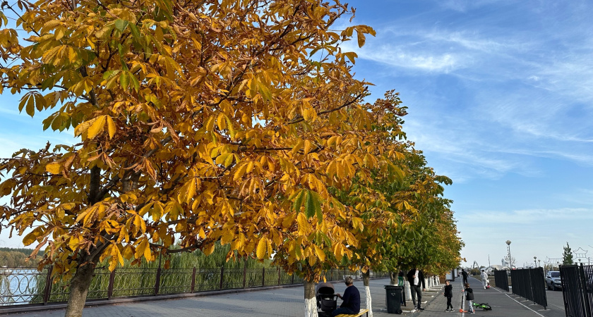Незаконную продажу ветеринарных препаратов в Мордовии выявил Россельхознадзор  