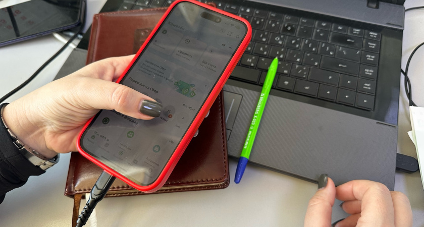 В Мордовии учительница «купила» баню-бочку за 380 тысяч через сайт двойник