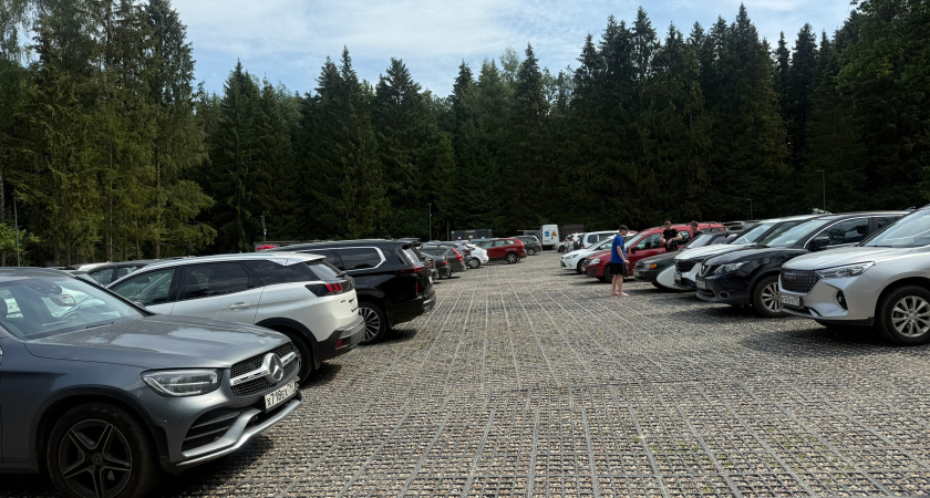 Автопарк Мордовии превысил 311 тысяч единиц: регион активно развивается в автомобильной сфере