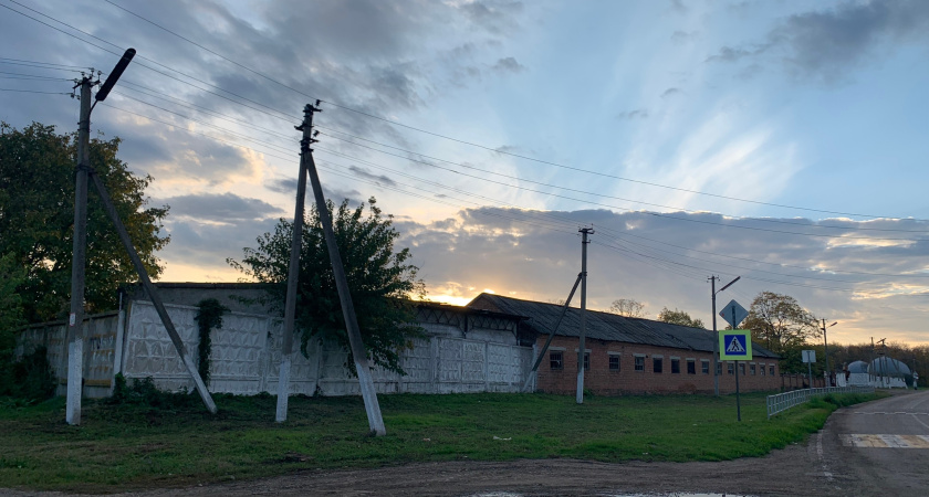 В Мордовии зафиксирован рост числа фермеров и малых хозяйств