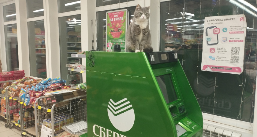 После одного случая никогда не снимаю деньги в банкомате в "Пятерочке" и "Магните": почему нельзя снимать деньги в магазине