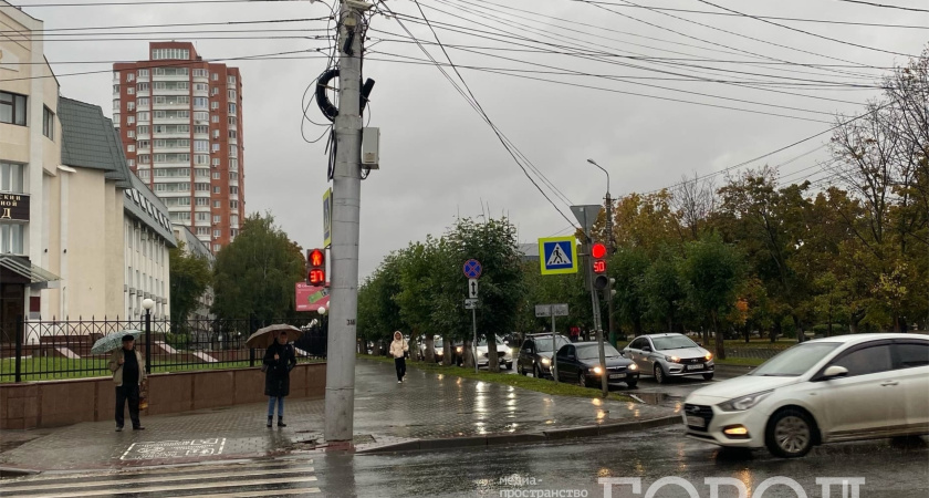 В Мордовии ожидается сильный дождь в конце недели