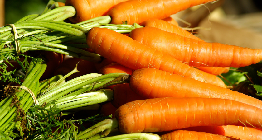 Витаминный десерт прямо с грядки: 5 сочных и крупных сортов моркови, за которыми охотятся все дачники