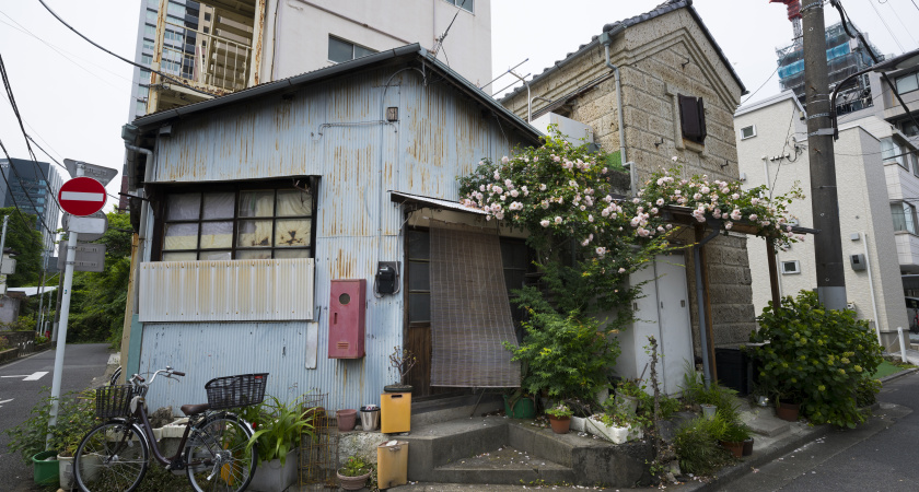 Почему в Японии зимой холоднее дома, чем на улице: волшебные лайфхаки японцев для жизни в холодных домах