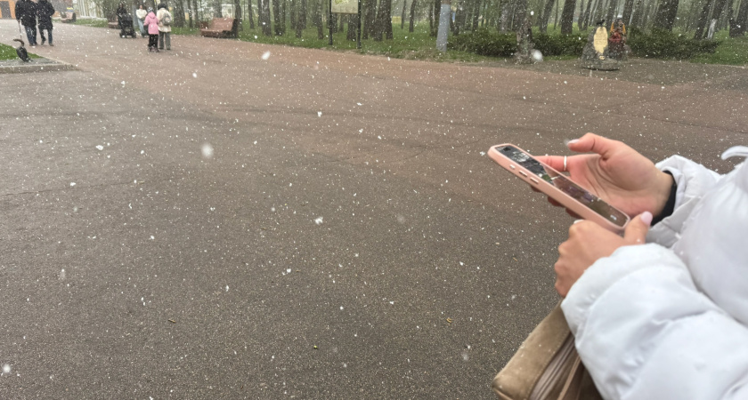 Мобильный интернет в Саранске: как горожане адаптируются к ограничениям