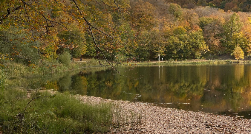 В Мордовии аномально теплая температура простоит до выходных