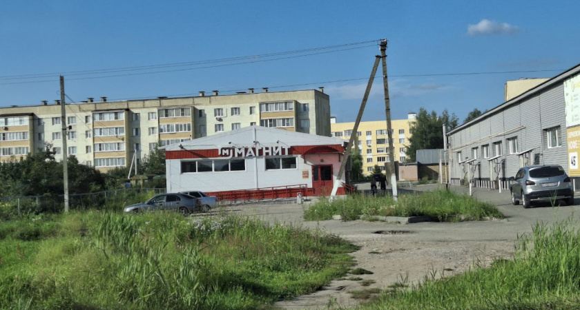 Стоят не дороже 150 рублей, а пользы на тысячи — 5 недооцененных продуктов из Магнита и Пятерочки, которые вы точно не берете