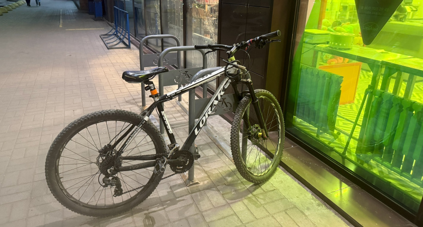 В Саранске полицейские задержали мужчину, укравшего велосипед