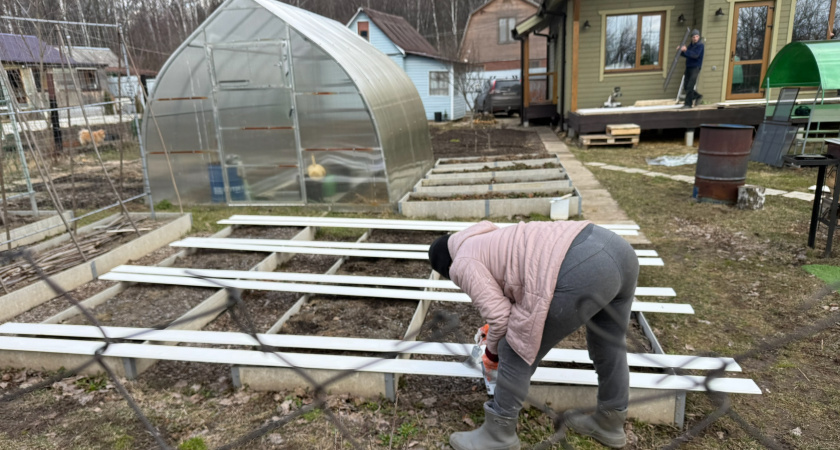 Вся зараза исчезнет за зиму: в ноябре лью в теплицу советское средство (работает на все 100%)