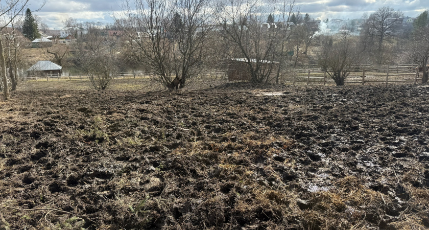 В Мордовии энергетики запросили 1,5 миллиона за подключение земельного участка