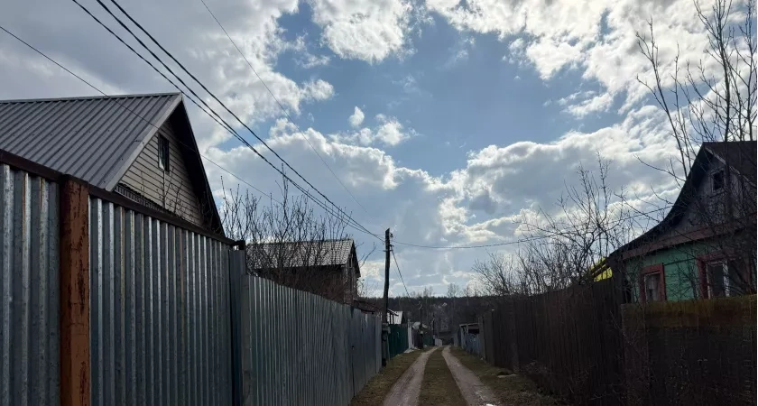 Выращенные в Мордовии щенки-малинуа отправились служить в три региона России