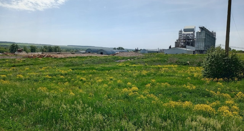 Жителей Мордовии оштрафовали за заросшие сельскохозяйственные участки