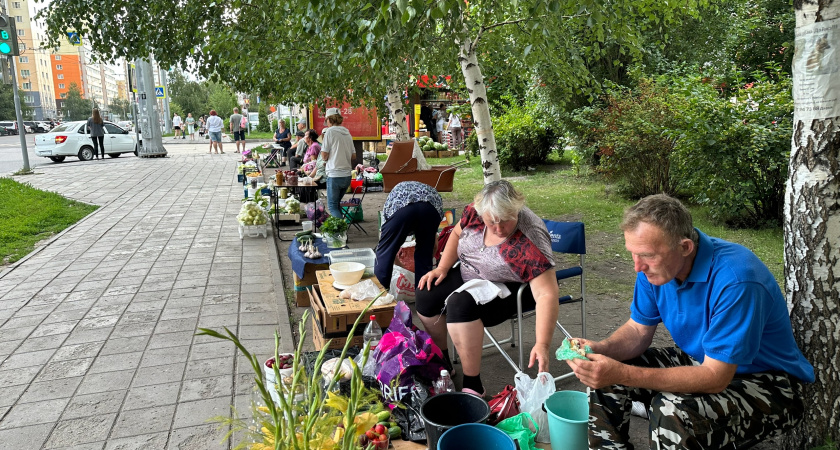 Что продают бабушки под видом закруток со своего огорода? 