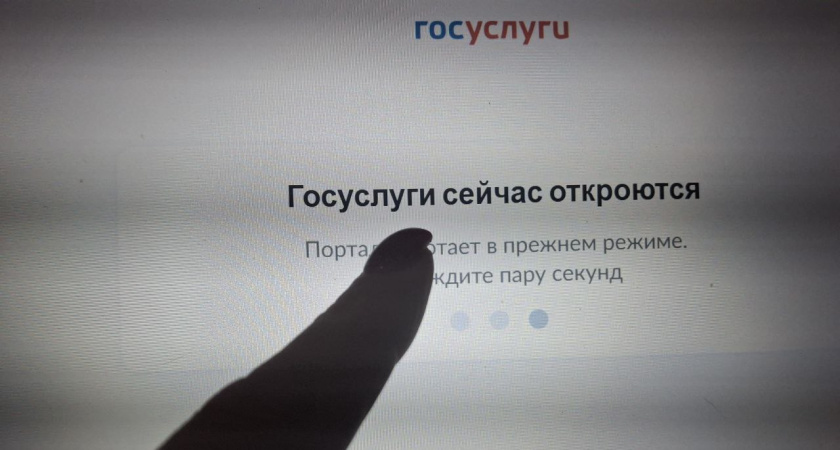 Можно смело удалять профиль "Госуслуг":Верховный суд вынес неожиданное решение