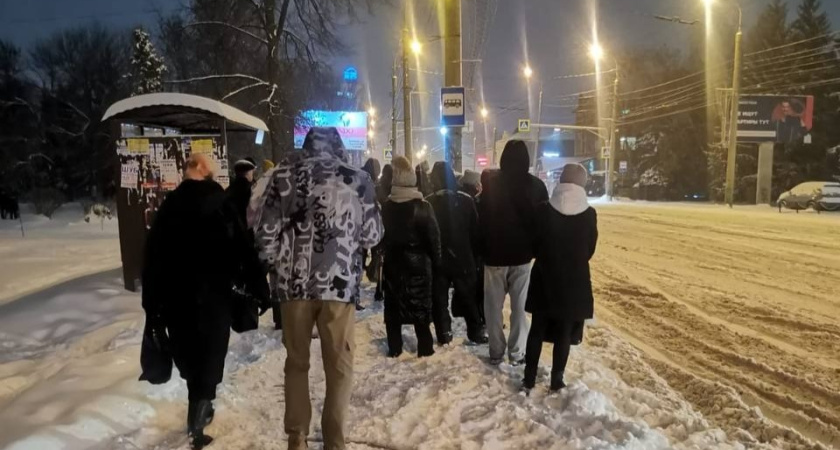 Вильфанд сделал прогноз на предстоящую зиму: "Сценарий неутешительный" - чего ждать садоводам и пожилым