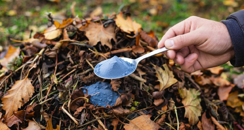К весне перегниют даже толстые ветки: сыплю на компост пару ложек порошка и получаю богатый перегной 