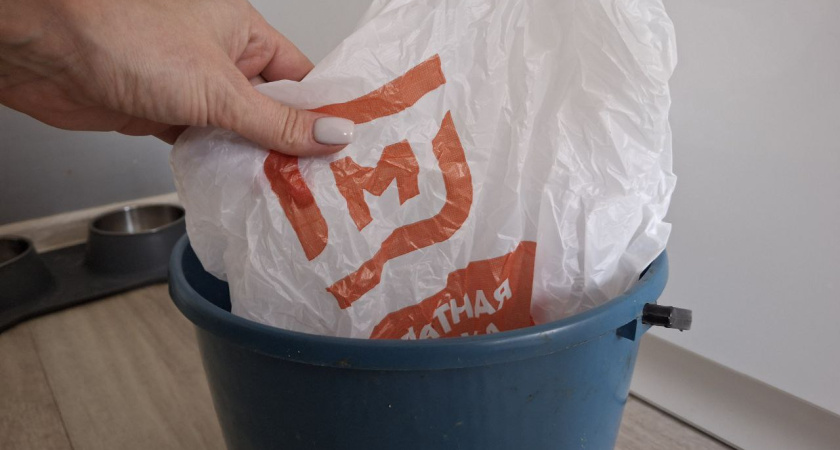 В жизни не испачкаю их помоями: почему пакеты из "Магнита" и "Пятерочки" нельзя использовать для мусора