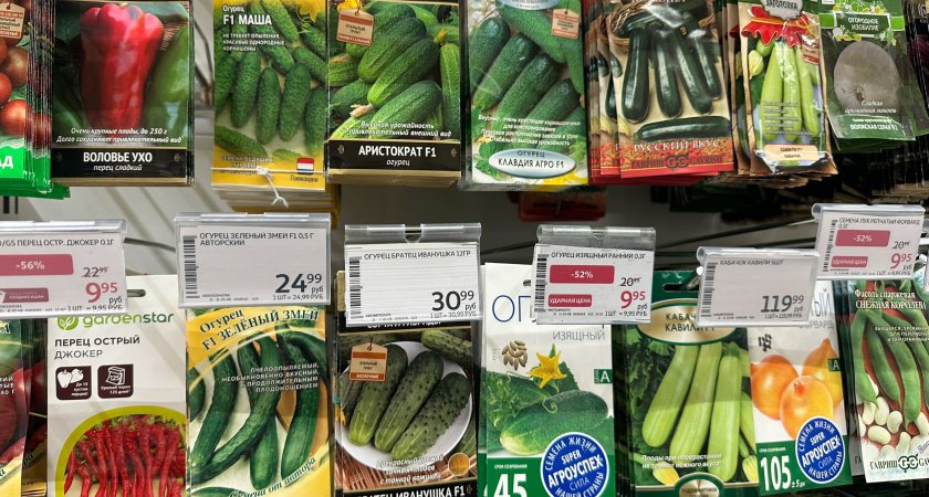 Многие дачники покупают семена неправильно: правило трёх «П» для выбора семян меня еще ни разу не подводило