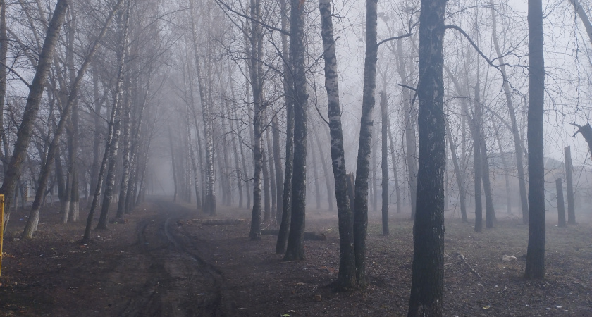 На дорогах Мордовии местами ожидается густой туман