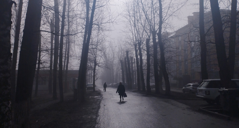 3 декабря в Мордовии синоптики вновь обещают туман