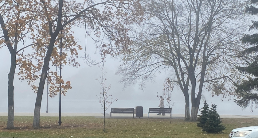 В Мордовии погода продолжает “отставать” от календаря: осень задерживается, зима придет нескоро