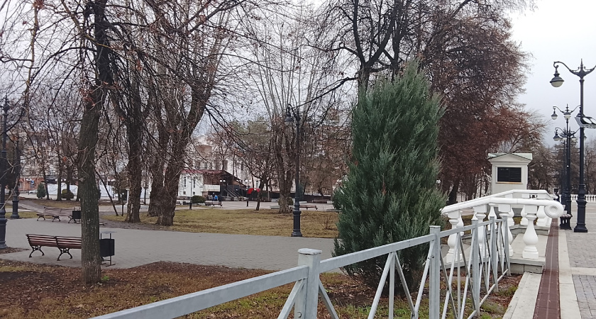 Сосновая аллея украсила территорию возле новой спортплощадки в ЖК «Восточный» 