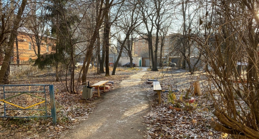 Более 26 тысяч волонтёров в Мордовии оказали помощь 120 тысячам человек