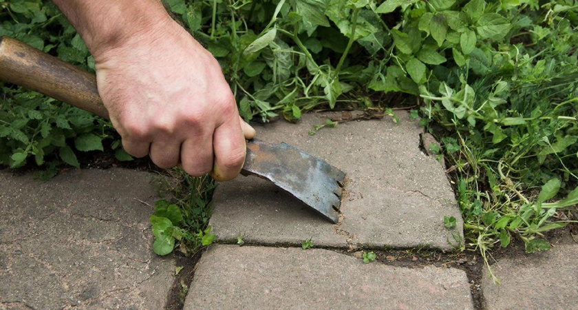 Садовые дорожки плиткой не выкладываю - нашел более эстетичную замену, к тому же бесплатную
