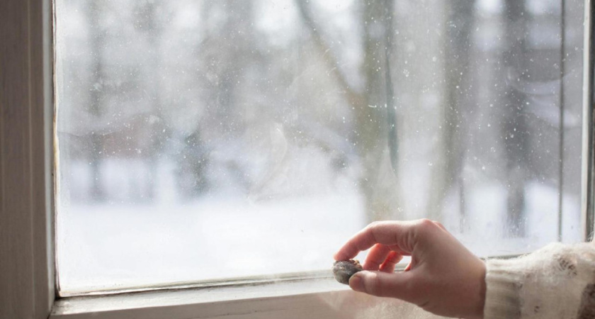 Окна в квартире в морозы больше не потеют: кладу на подоконник вот что  - всю зиму не нарадуюсь своей хитрой смекалке 