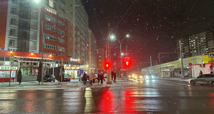 Мордовия намерена ввести льготы для многодетных на визиты в учреждения культуры