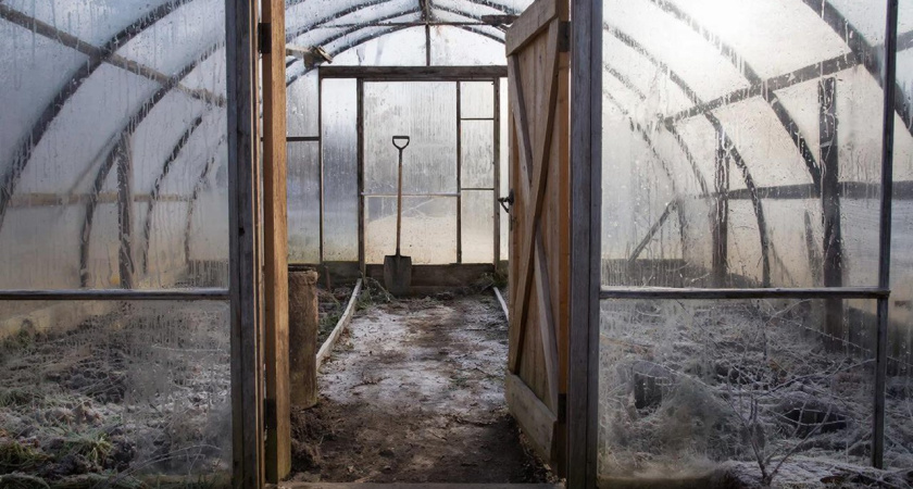 Не запирайте теплицу перед зимой: по весне почва будет богаче и мягче покупного грунта