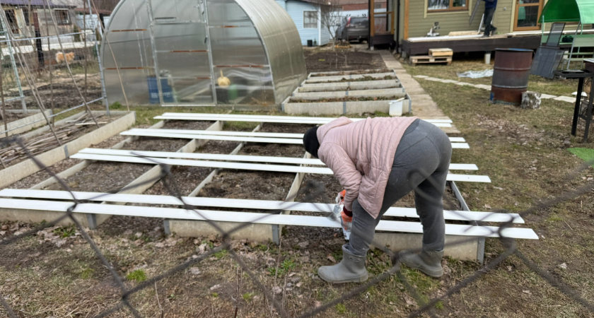 Почему я не разрешаю родственникам помогать мне на огороде: запомните раз и навсегда