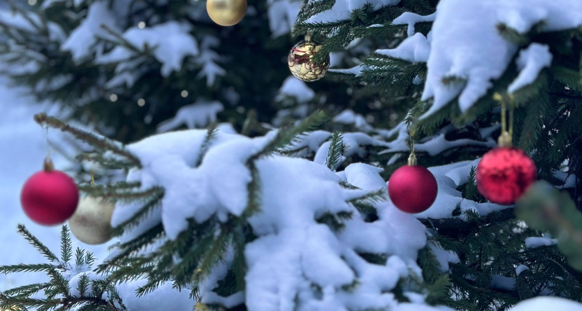 В Саранске на Светотехстрое установили новую новогоднюю елку