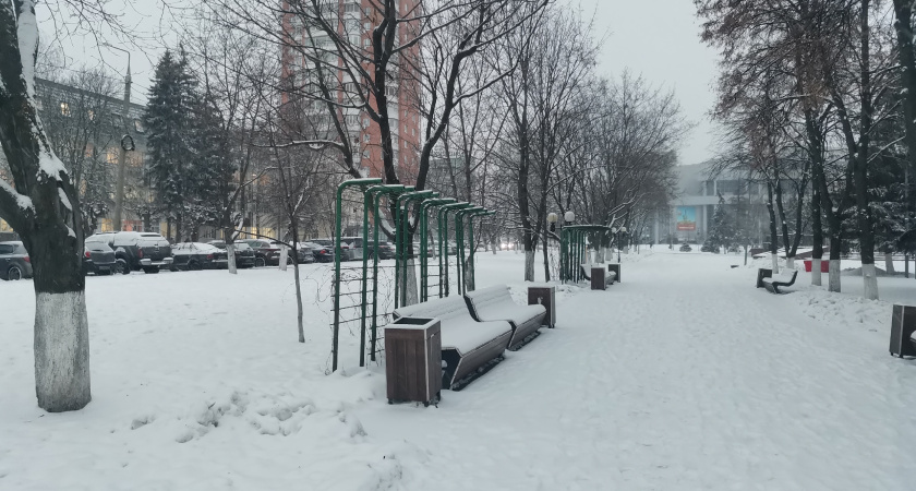 Алексей Гришакин назначен вице-премьером Правительства Мордовии