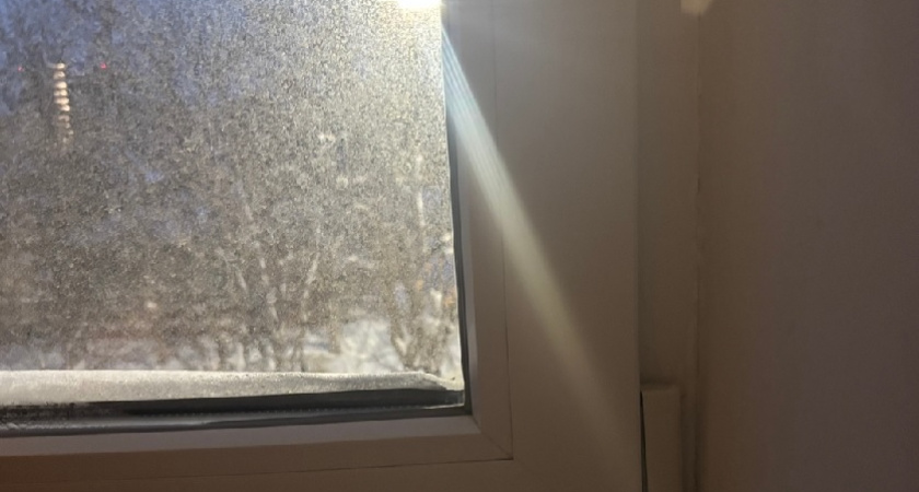 Ставлю на подоконник одну вещь: зимой больше не дует из окон - дома вкусно пахнет хвойным лесом