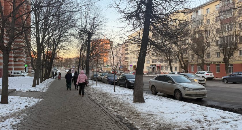 Столичные художники преподнесут новогодний подарок саранской публике