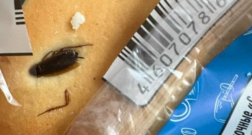 Выпечка не по рецепту: в саранском «Магните» обнаружили жуков