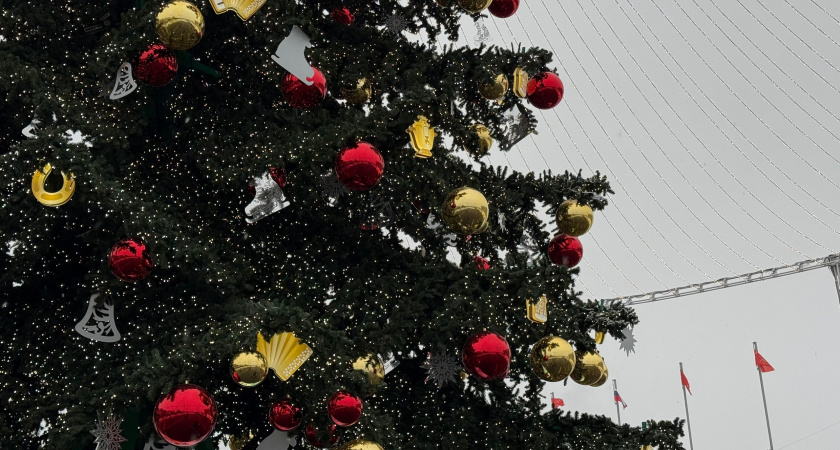 В Саранске на новогодних каникулах покажут бесплатный детский спектакль «В гостях у матушки Зимы»