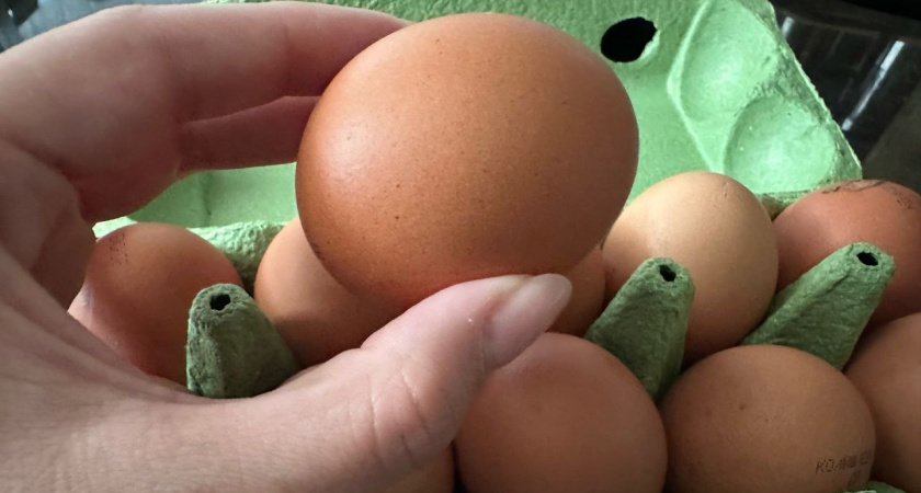 Работники птицефабрик за километр обходят яйца категории C0 - вот чего они опасаются