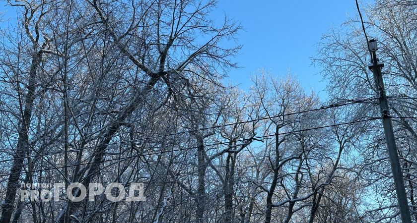 В Мордовии готовятся открыть горнолыжный склон в «Каменке»