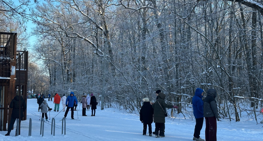 В Саранске названы адреса пунктов проката лыж: инвентарь предоставляется школьникам