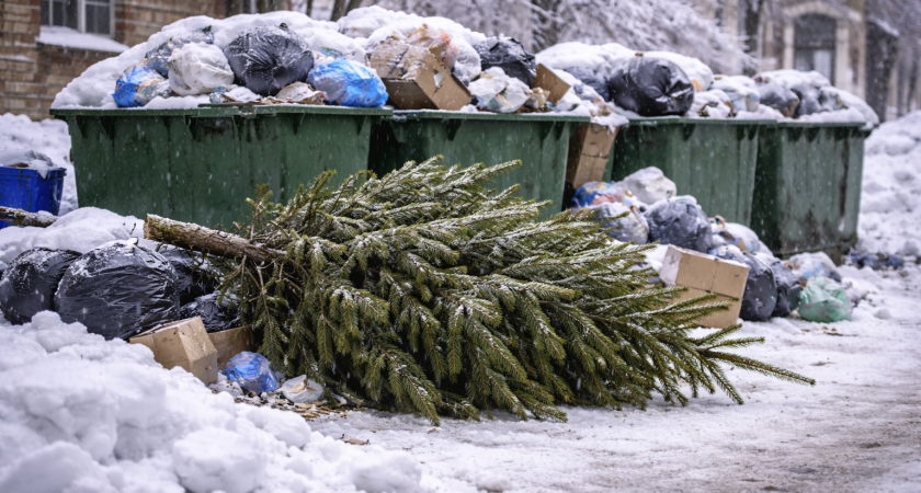 Саранцы начали прощаться с новогодними ёлками