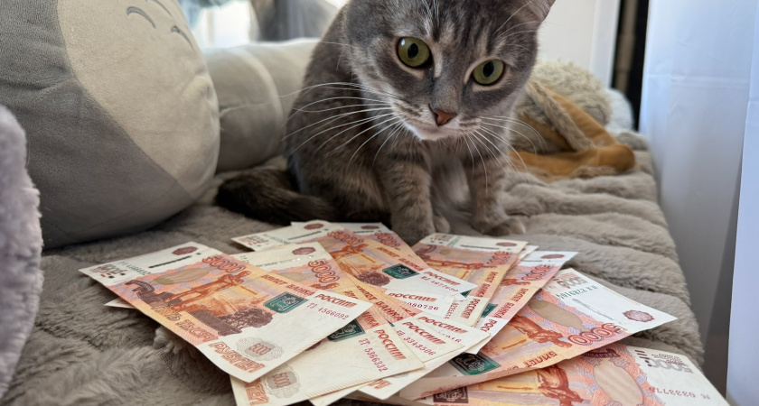 В Мордовии в 2026 году изменился размер прожиточного минимума 