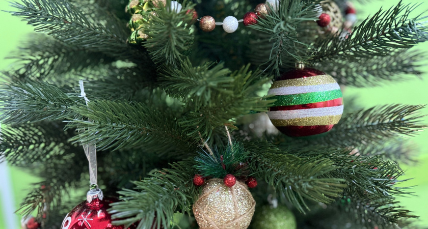 В Саранске до конца января принимают елки на утилизацию на 6 площадках