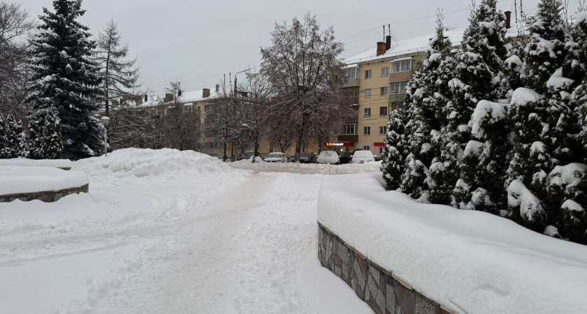 Впервые в Саранске покажут легендарный спектакль «Фея кукол»