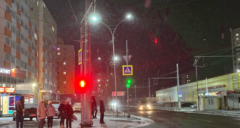 Многодетные семьи Мордовии получают бесплатную юридическую помощь