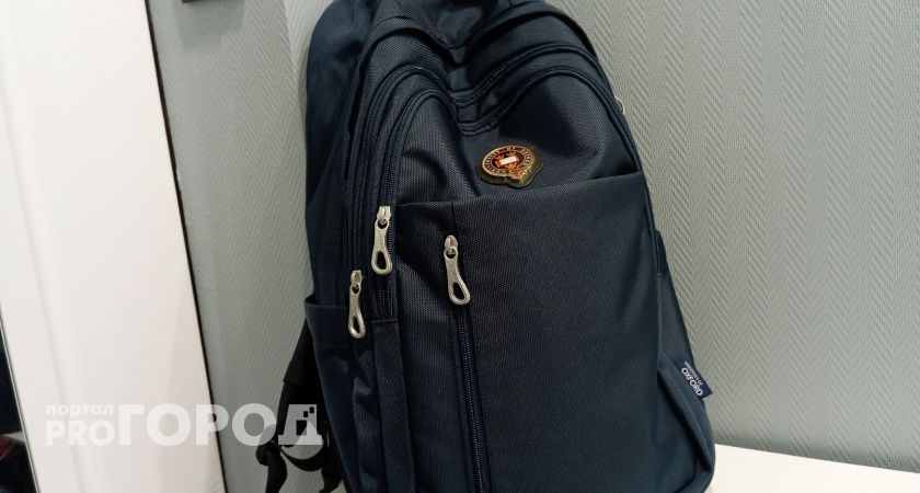 В Мордовии из-за морозов школьников массово перевели на дистант