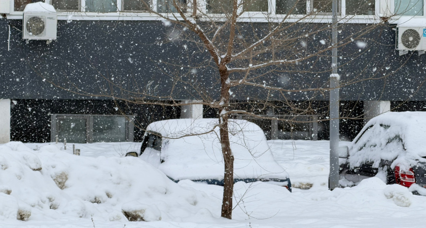 Жителей Мордовии атакует налипший мокрый снег