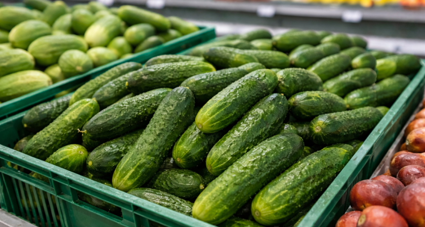 В Мордовии огурцы сравнялись по цене с мясом