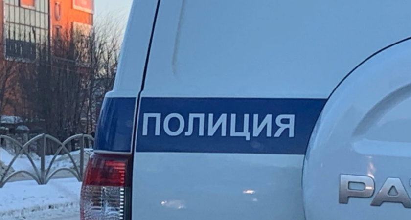 Владимирец украл у жительницы г. Саранска деньги под предлогом продажи принтера